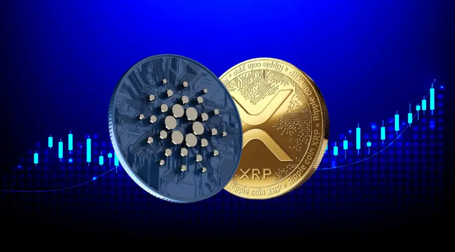 Неформальное общение глав Ripple и Cardano: означает ли это будущее сотрудничество?