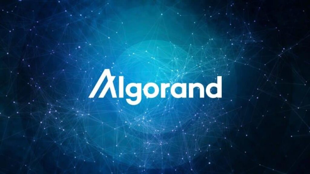 Algorand TypeScript: Новая эра разработки смарт-контрактов Algo