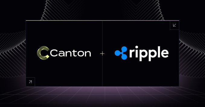 Ripple Custody добавила поддержку Canton Network: при чем здесь XRP Ripple Custody добавила поддержку Canton Network: при чем здесь XRP