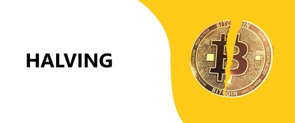 Генеральный директор Bitwise прогнозирует колоссальный эффект от халвинга биткоина